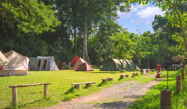 Le Camping du Lavedan propose-t-il des emplacements ombragés ?